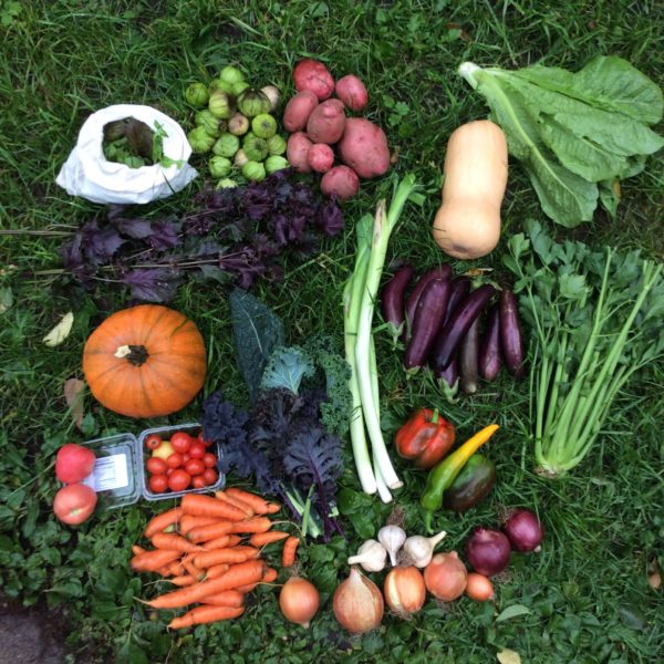 Fall Share