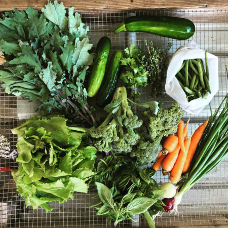 Summer Sampler
