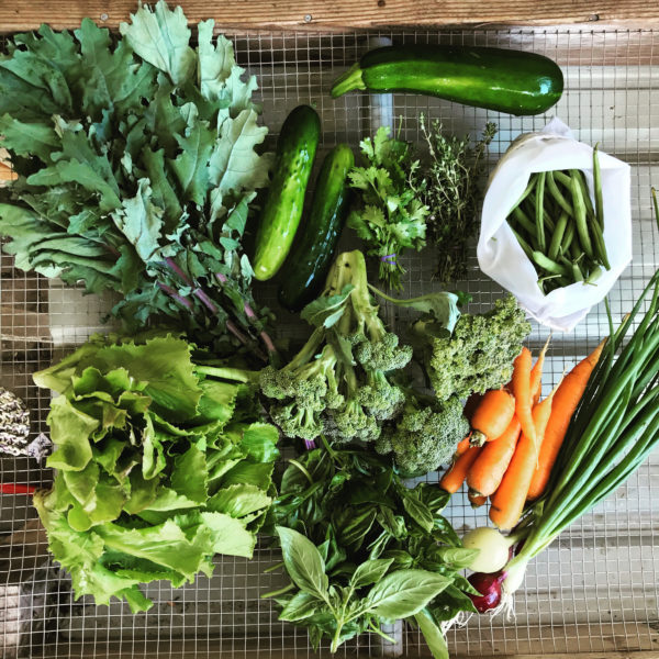 Summer Sampler