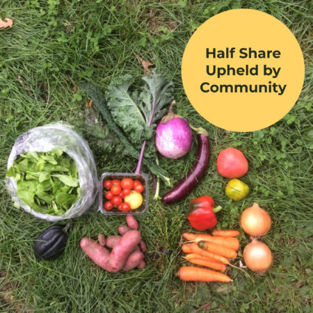 Half Share - Upheld by Community